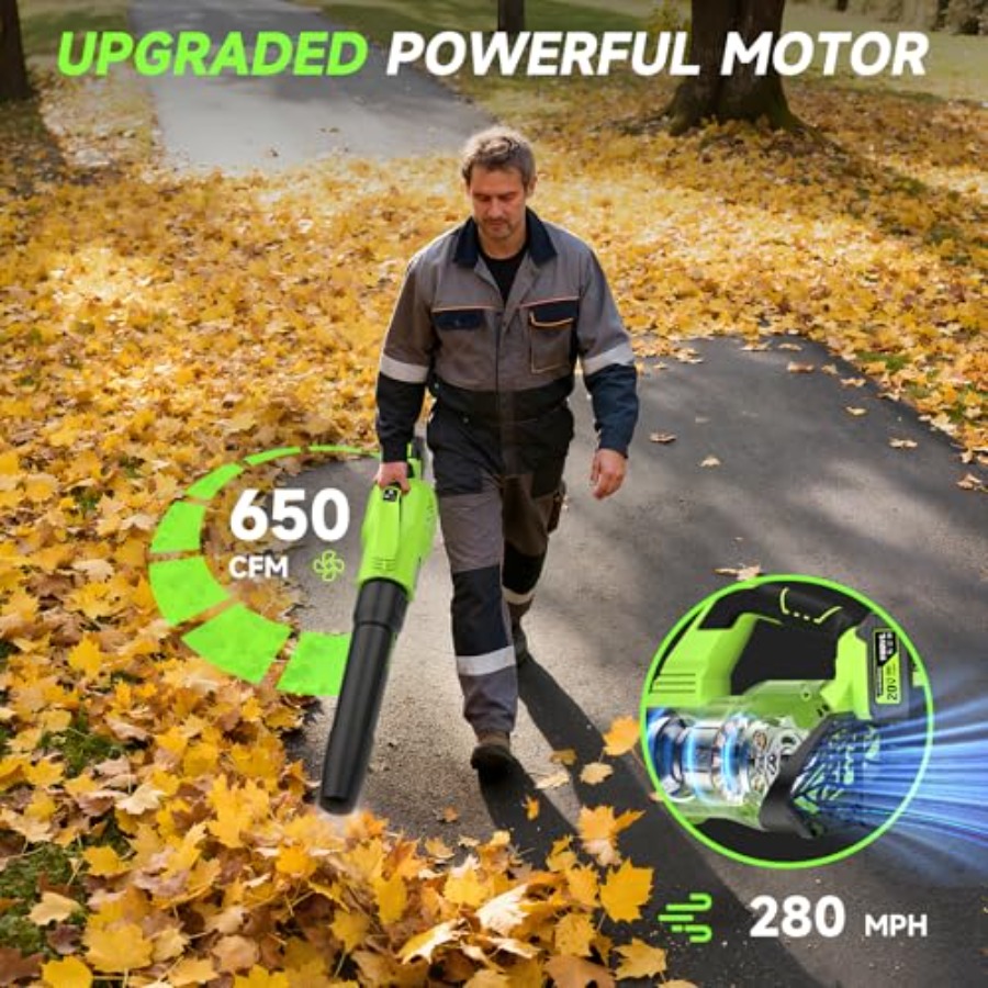 650 CFM 무선 송풍기, 3단 속도 설정, 2개의  - Leaf Blower Cordless 리뷰 및 가격